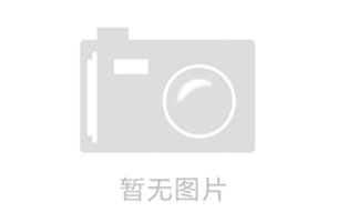 智能手机安检门WD-M700